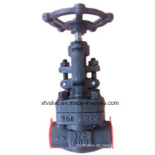 API602 geschmiedetem Kohlenstoffstahl A105 Gewinde Ende NPT Globe Valve